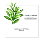 Thumbnail for Juicy Chemistry Australian Tea Tree Essential Oil - Distacart