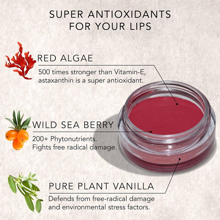 Daughter Earth Rouge Rose Super Antioxidant Lip & Cheek Tint