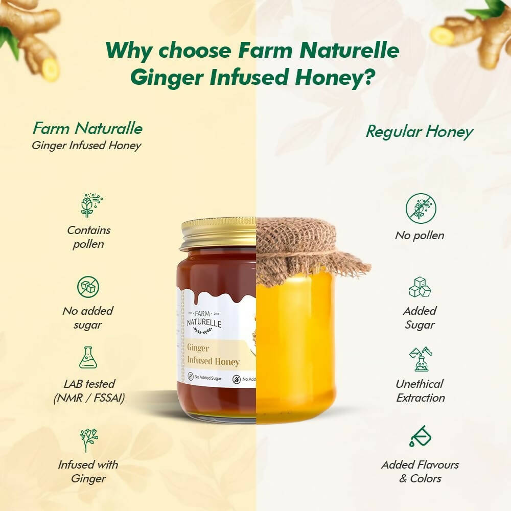 Farm Naturelle Ginger Infused Honey - Distacart