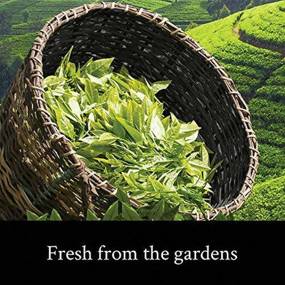Teamonk Darjeeling Tapas Oolong Tea Leaves (75 Cups) - Distacart