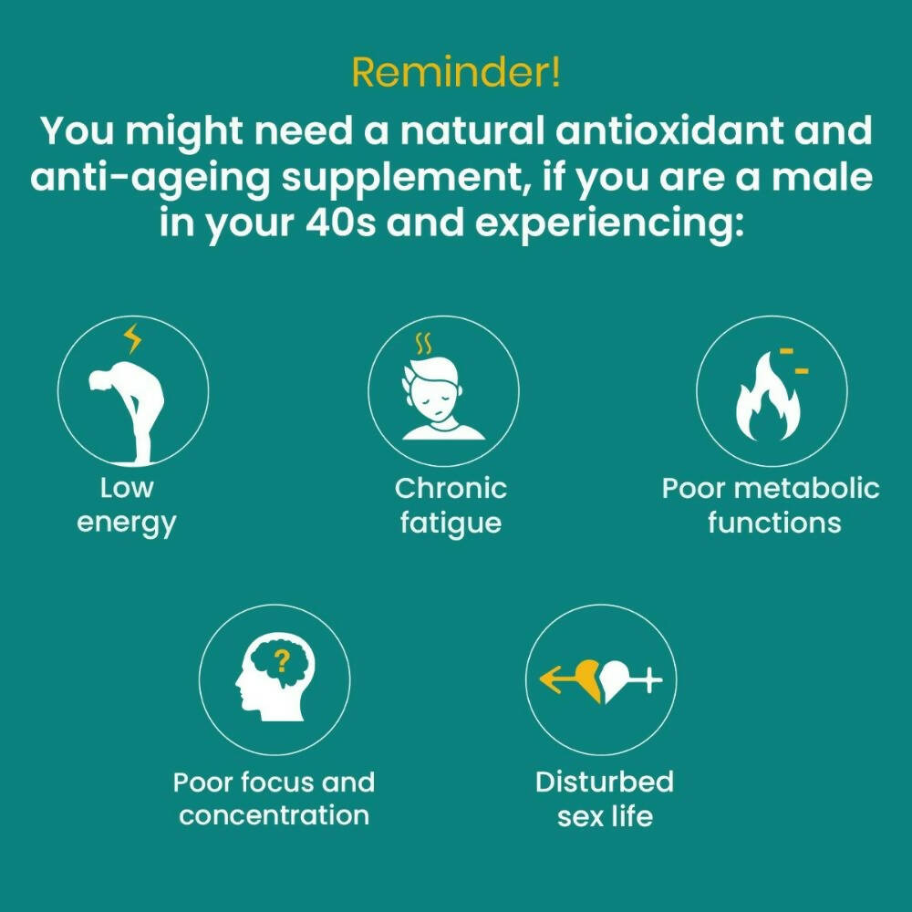 Vedistry Fortyfitt Tablets - Distacart