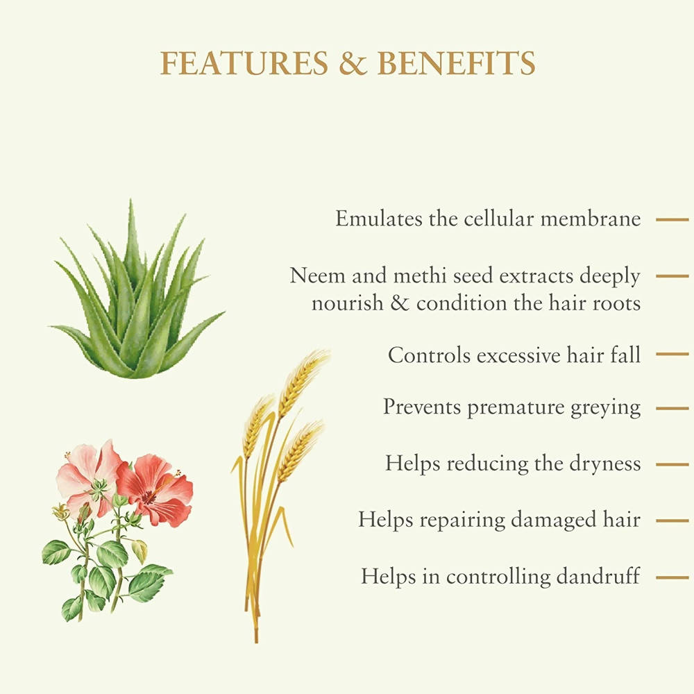 Just Herbs Silky Strength Aloevera-Wheatgerm Moisturising Shampoo - Distacart