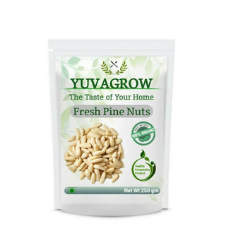 Yuvagrow Fresh Pine Nuts - Distacart