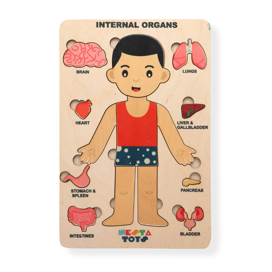 Nesta Toys Human Body | Internal Organs Wooden Puzzle - Distacart