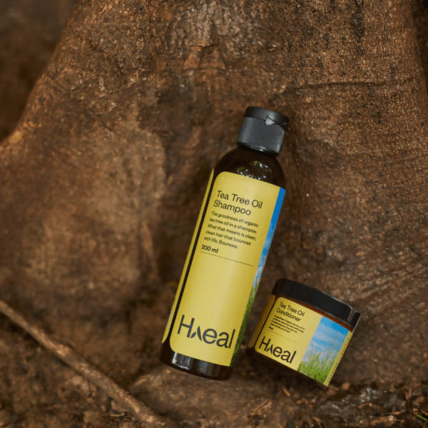 Haeal Tea Tree Oil Shampoo + Conditioner Combo