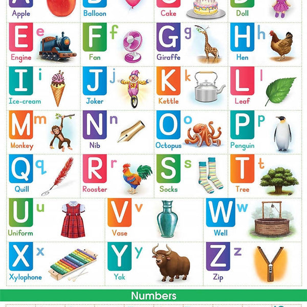 Jumbo English Alphabet and Numbers Chart for Kids