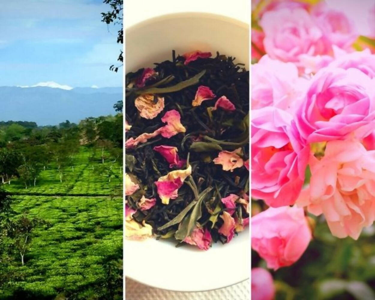 Nuxalbari Organic La Vie en Rose Tea - Distacart