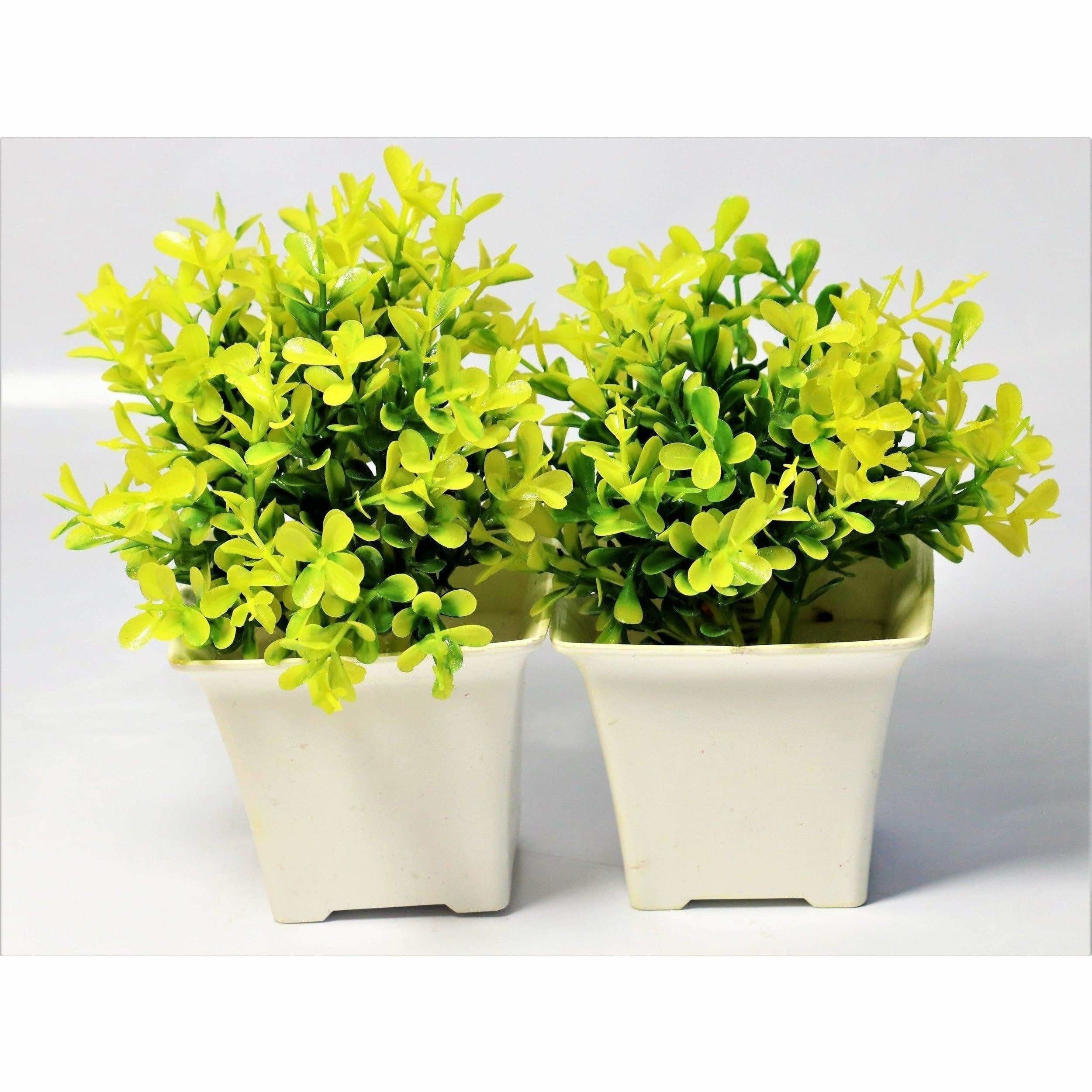 Chahat Decorative Artificial Flower Plant 2 Piece Combo