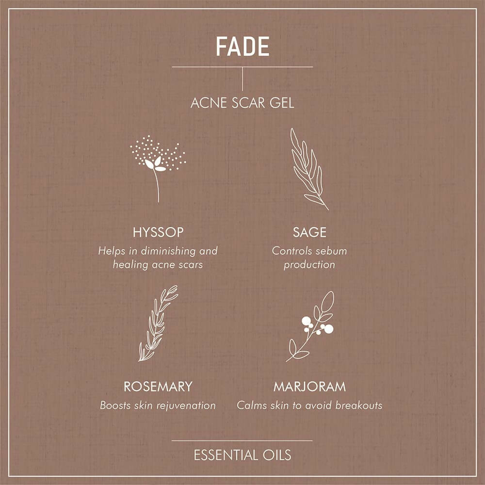 Secret Alchemist Fade Acne Scar Gel - Distacart