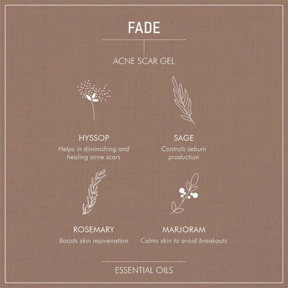 Secret Alchemist Fade Acne Scar Gel - Distacart