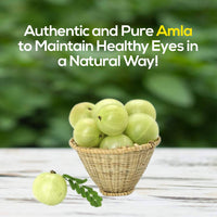 Thumbnail for Herbal Hills Organic Amla Powder