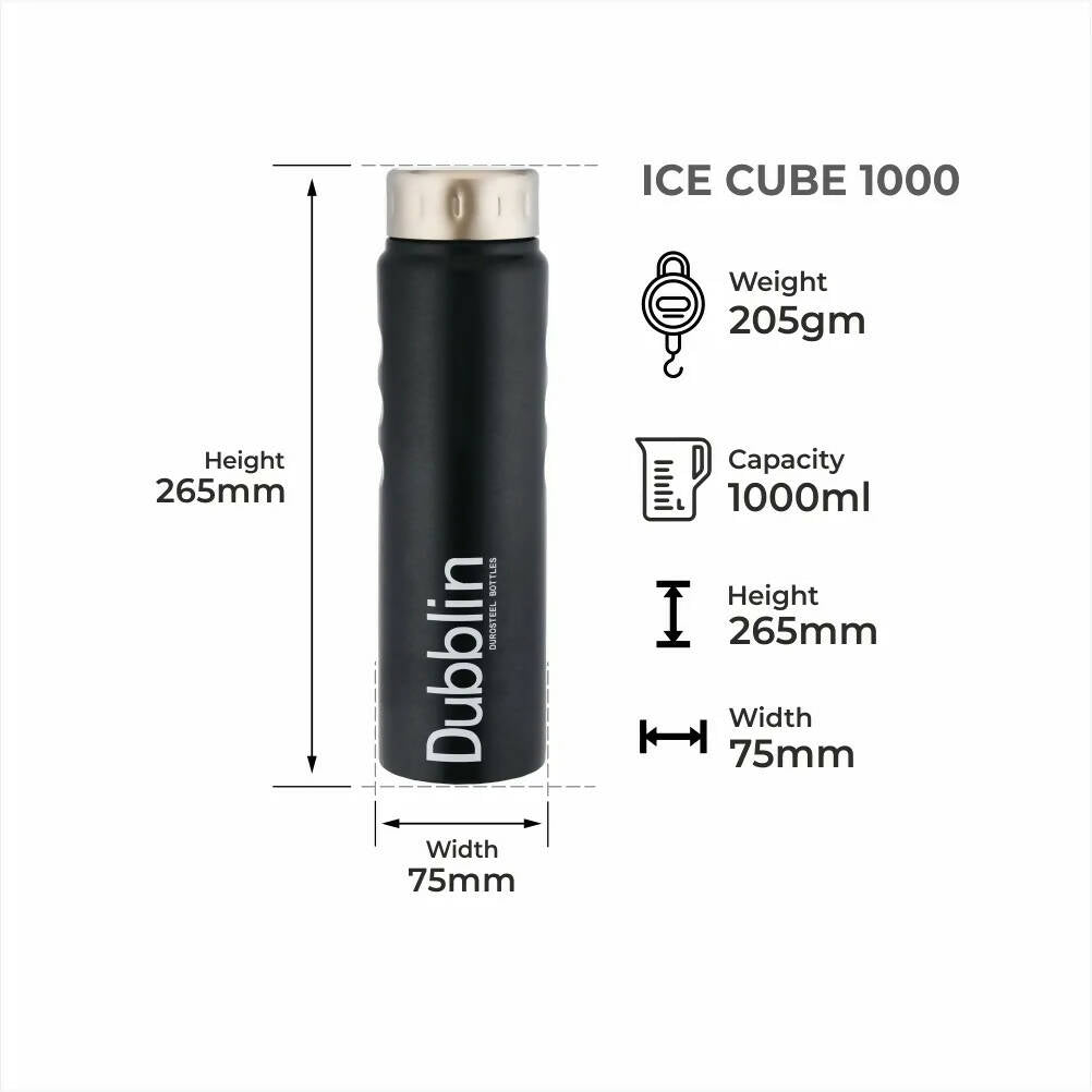 Dubblin Ice Cube Stainless Steel Fridge Water Bottle - Distacart