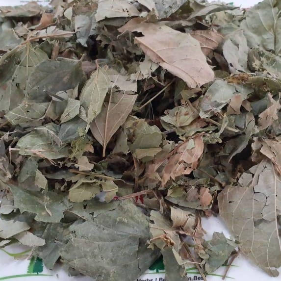 Liferr Parijat Leaves Powder - Distacart