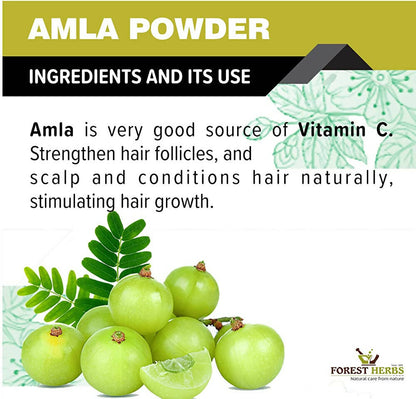 Forest Herbs 100% Natural Organic Amla, Reetha, Shikakai Powder Combo - Distacart