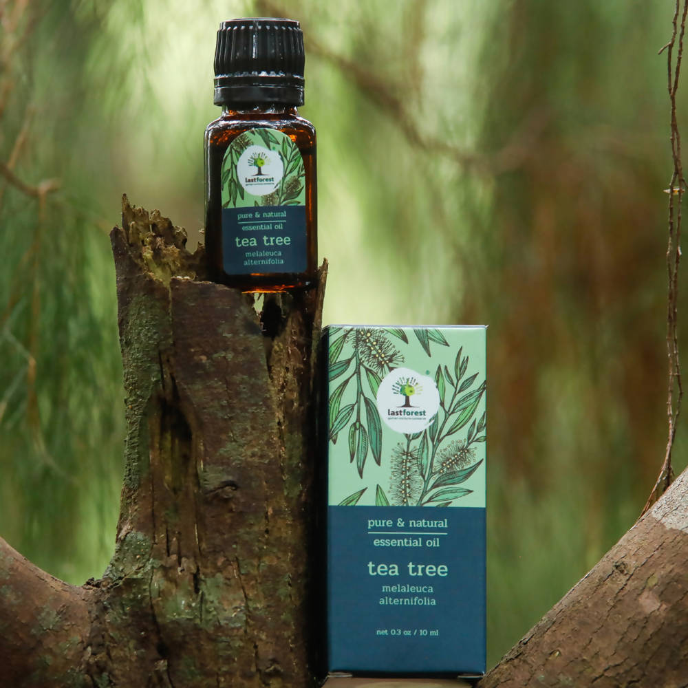 Lastforest Therapeutic Essential Oil Tea Tree - Distacart