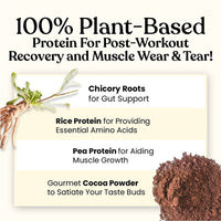 Thumbnail for Kapiva Ayurveda Vegan Protein Post-Workout Recovery
