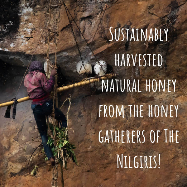 Lastforest Saffron Honey - Distacart