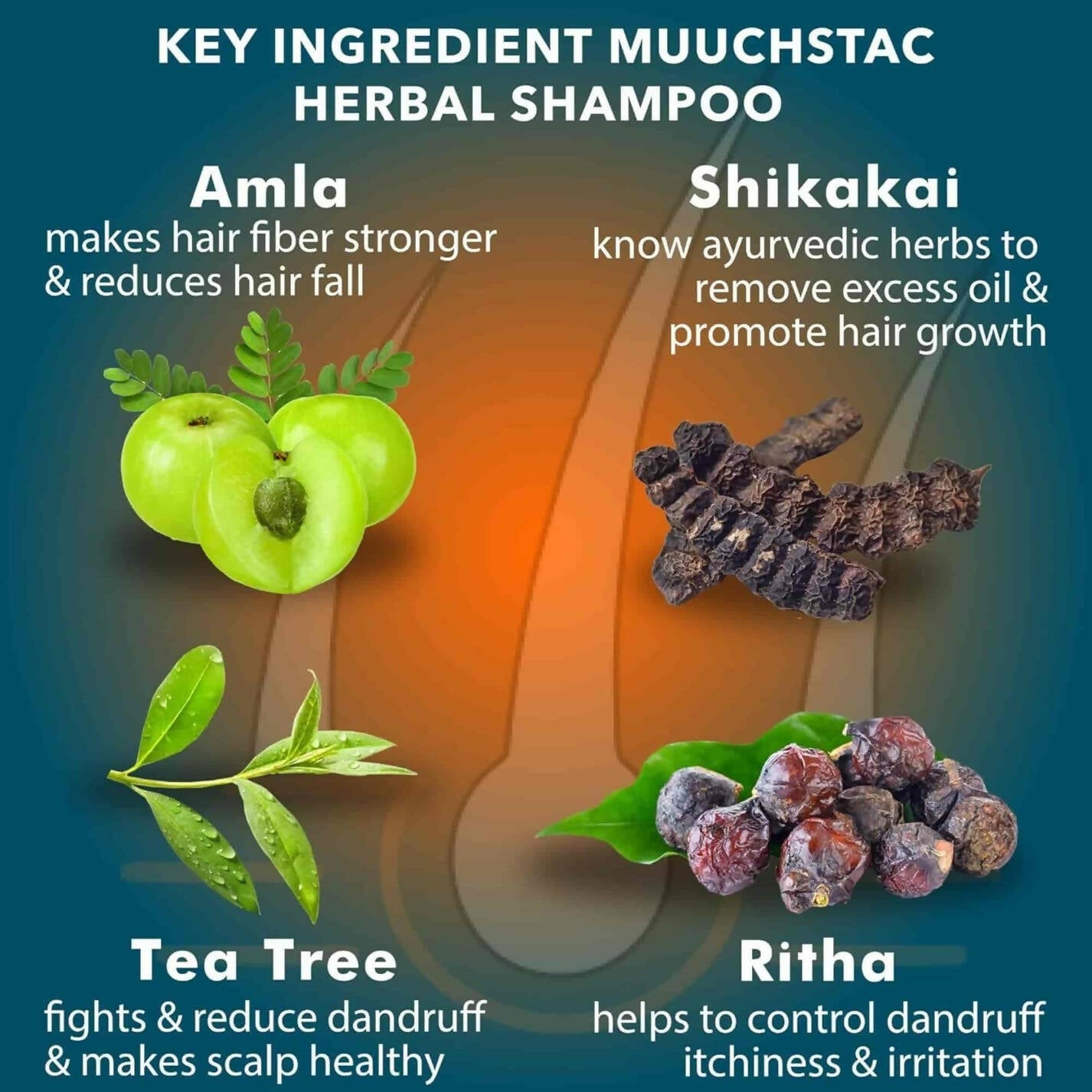 Muuchstac Herbal Shampoo With Anti-Dandruff & Anti-Hairfall Solution - Distacart