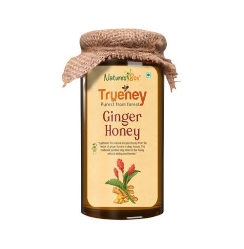 Nature's Box Trueney Ginger Honey