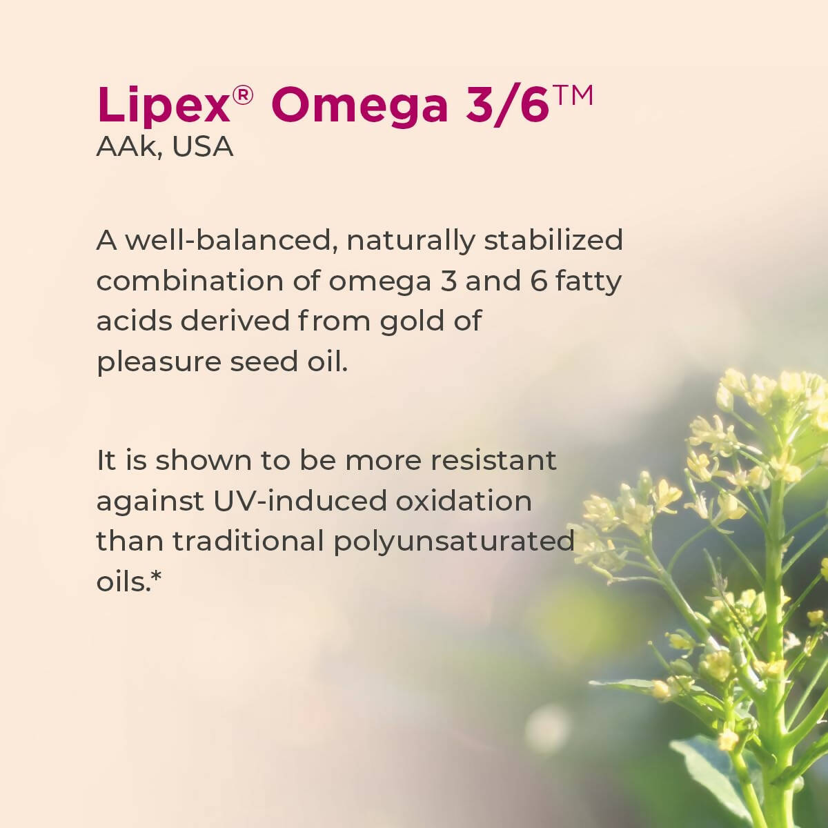 Healthyr-U Omega Skin Repair Face Serum - Distacart