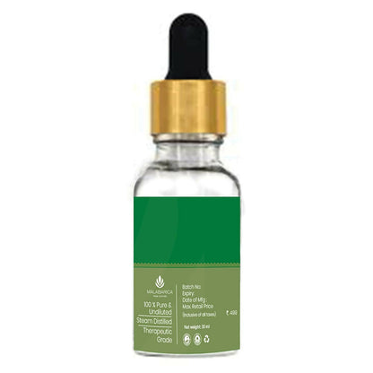 Malabarica Cajeput Essential Oil - Distacart