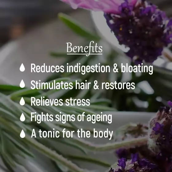 The Wellness Shop Rosemary Oil