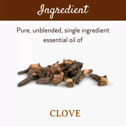 Mitti Se Clove Essential Oil - Distacart