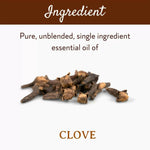 Thumbnail for Mitti Se Clove Essential Oil - Distacart