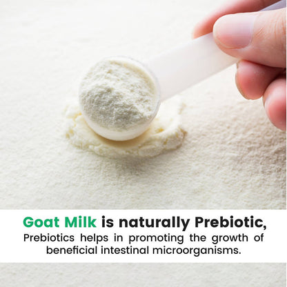 Aadvik Hye Foods Goat Milk Powder - Distacart