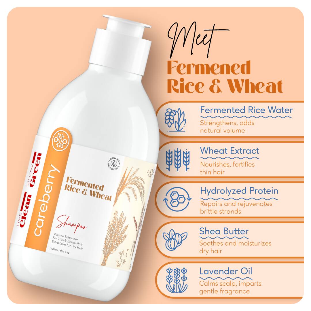 Careberry Rice & Wheat Volumizing Shampoo - Distacart