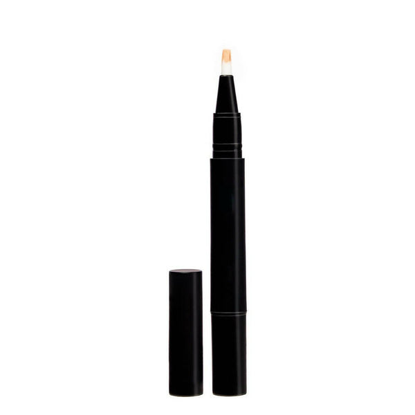 Lakme Absolute Instant Airbrush Concealer Pen - Cinmon - Distacart