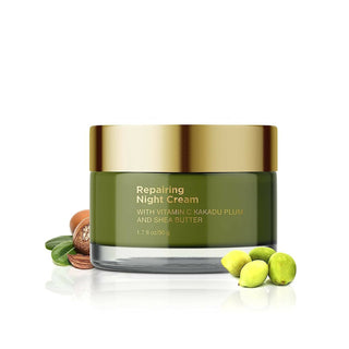 Coccoon Repairing Night Cream With Vitamin C Kakadu Plum and Shea Butter - Distacart