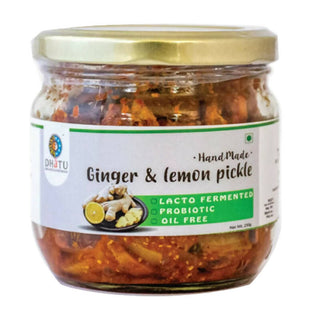 Dhatu Organics & Naturals Oil Free Ginger Lemon Pickle - Distacart