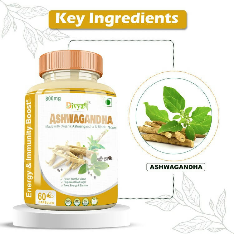 Divya Shree Ashwagandha Capsules - Distacart