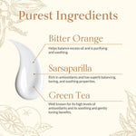 Thumbnail for Shankara Balance Moisturizer For Kapha
