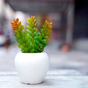 Chahat Decorative Artificial plant For Home