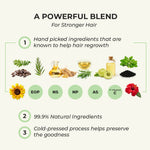 Thumbnail for Harkoi Hair Regrowth Oil - Bottle - Distacart