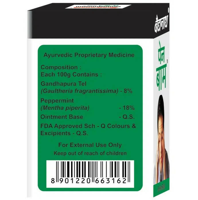 Baidyanath Nagpur Pain Relief Balm - Distacart