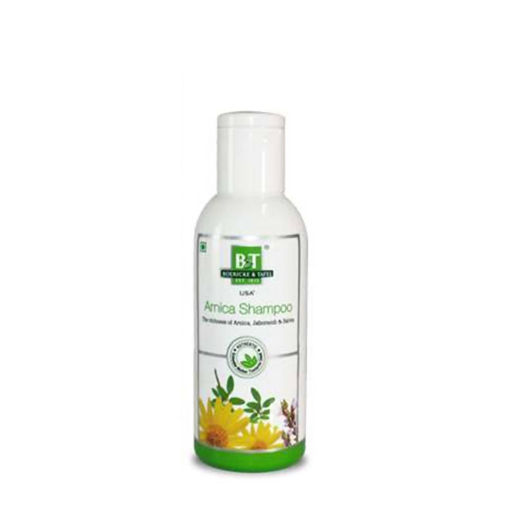 Boericke & Tafel Arnica Shampoo - Distacart