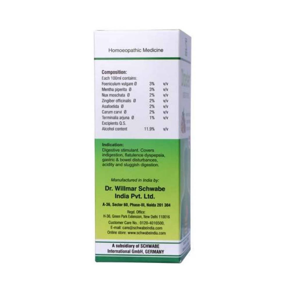 Dr. Willmar Schwabe India Dizester Digestive Tonic ingredients