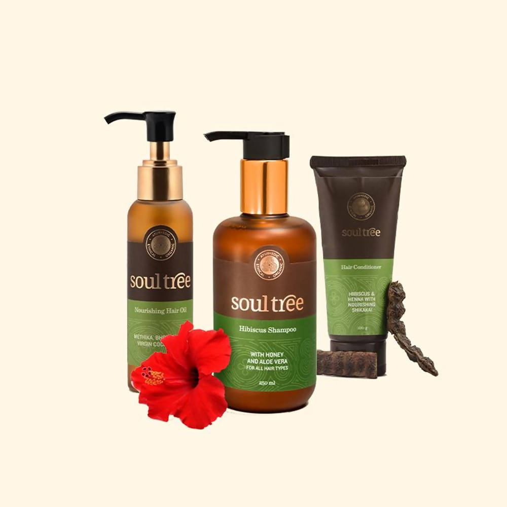 Soultree 3 - Step Hair Care Regimen