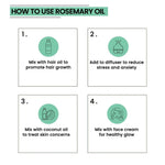 Thumbnail for Rey Naturals Rosemary Essential Oil - Distacart