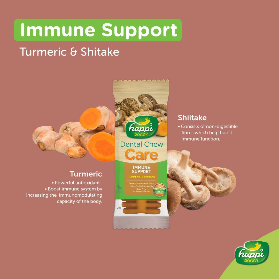 Happi Doggy Dental Chew Care Immune Support Turmeric & Shiitake - Distacart