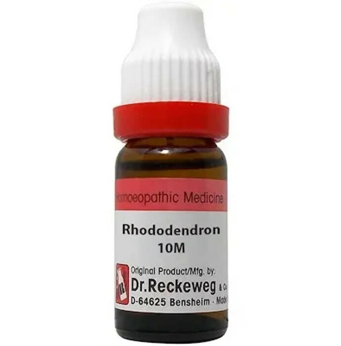Dr. Reckeweg Rhododendron Dilution - Distacart