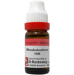 Thumbnail for Dr. Reckeweg Rhododendron Dilution - Distacart