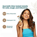 Thumbnail for Wellbeing Nutrition Grandma's Kadha Tablets - Distacart