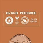 Thumbnail for Colorbar 24Hrs Wear Weightless Powder Foundation Pf 13 - Distacart