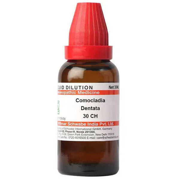 Dr. Willmar Schwabe India Comocladia Dentata Dilution - Distacart