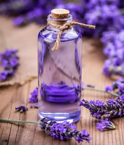 The Wellness Shop Pure Lavender Water