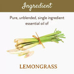 Thumbnail for Mitti Se Lemongrass Essential Oil - Distacart